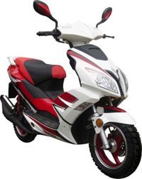 ������ Irbis Centrino 50 (����� �������� 50). ��������� �����������...