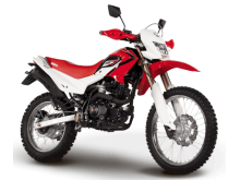  Irbis TTR 250 R ( 250 )